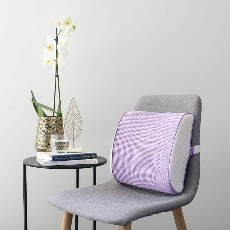 iCare Back Cushion