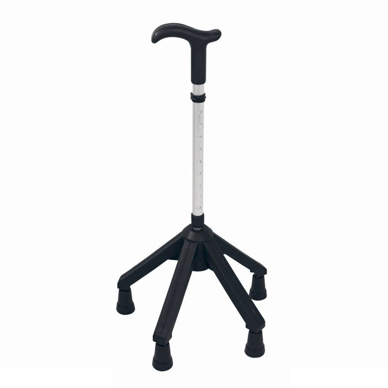 Rebotec Quadro Cane
