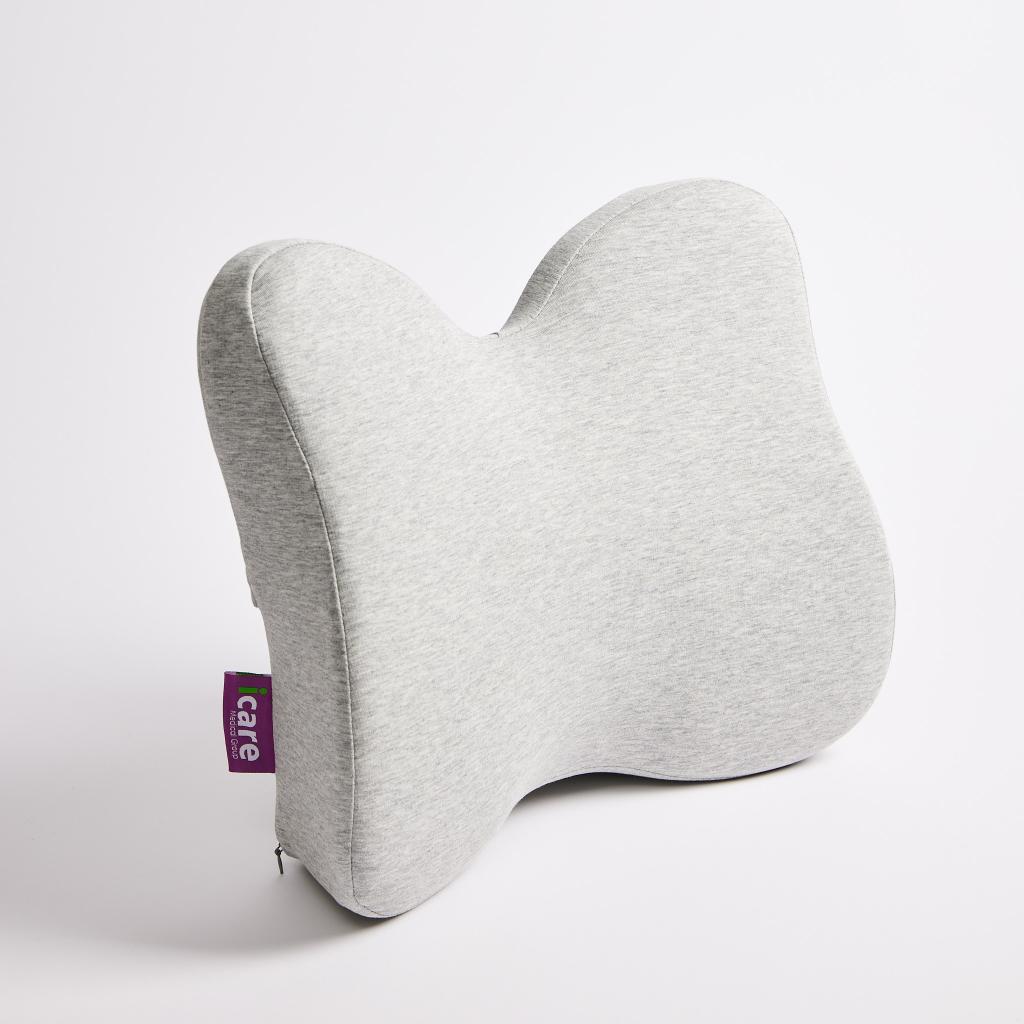iCare Reform Low Back Support