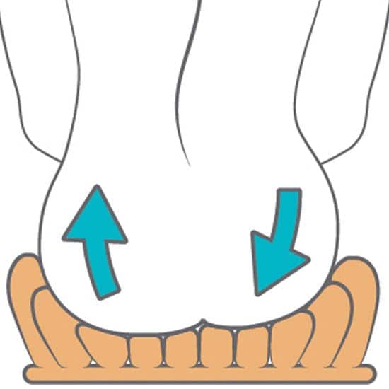 Etac StarLock Air Cell Cushion (Cell Height: 13cm)
